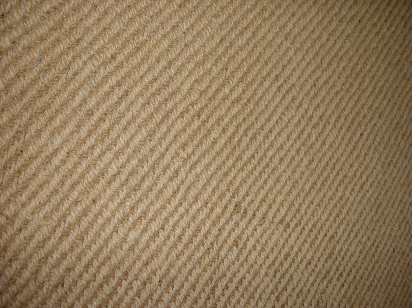 Seagrass Carpets